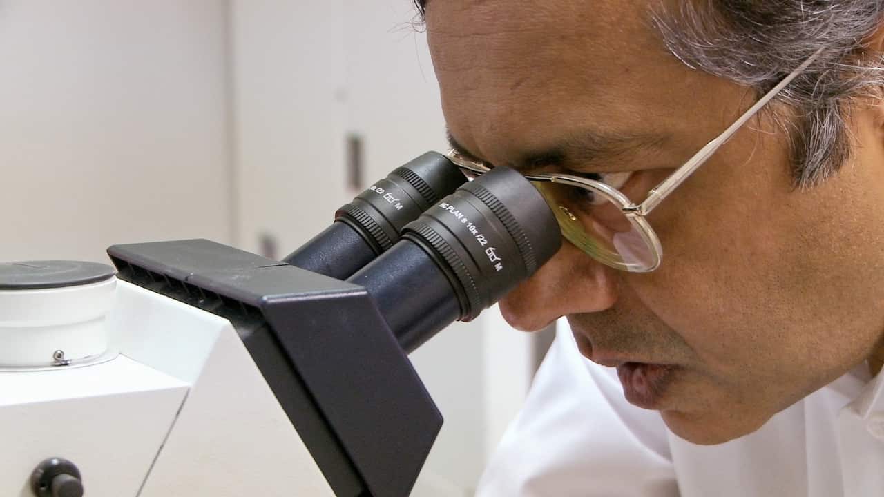 A man wearing glasses looks through a microscope with a serious expression on his face.