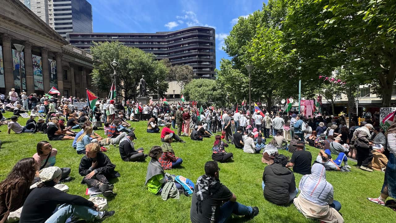 Protesters gather on the grass in a park.