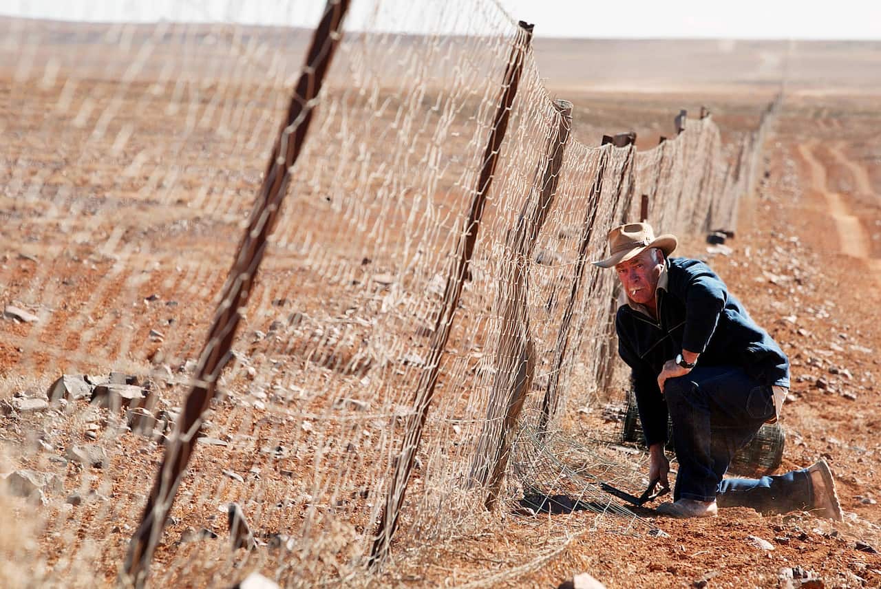 AUSTRALIA DINGO FENCE