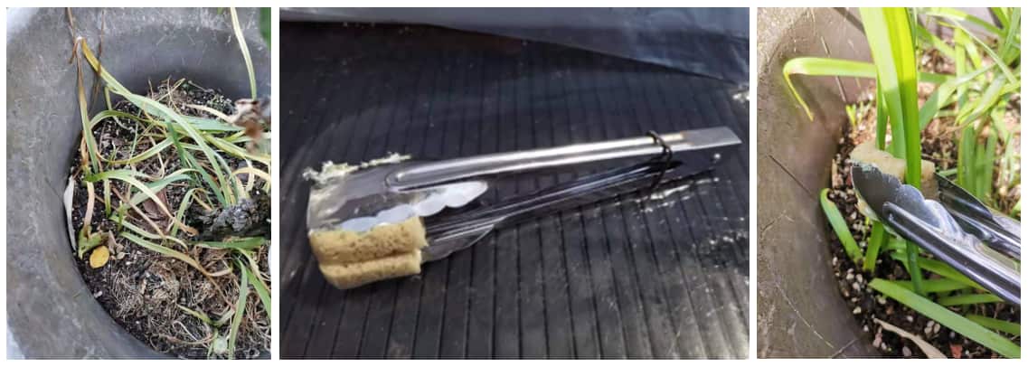 Screenshot 2025-12-05 094159.png