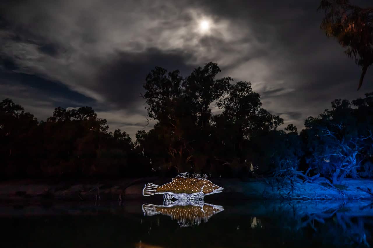 Pangala: Returning home - Menindee 