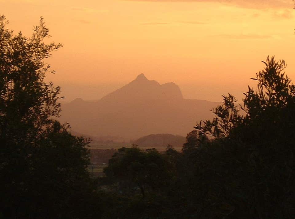 MT_warning.jpg