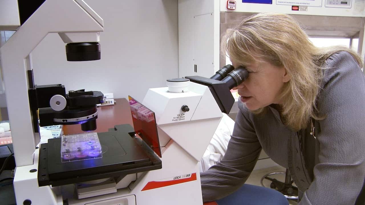 The Cancer Killers -Dr Jennifer MacDiarmid examines the results of a successful experiments.jpg
