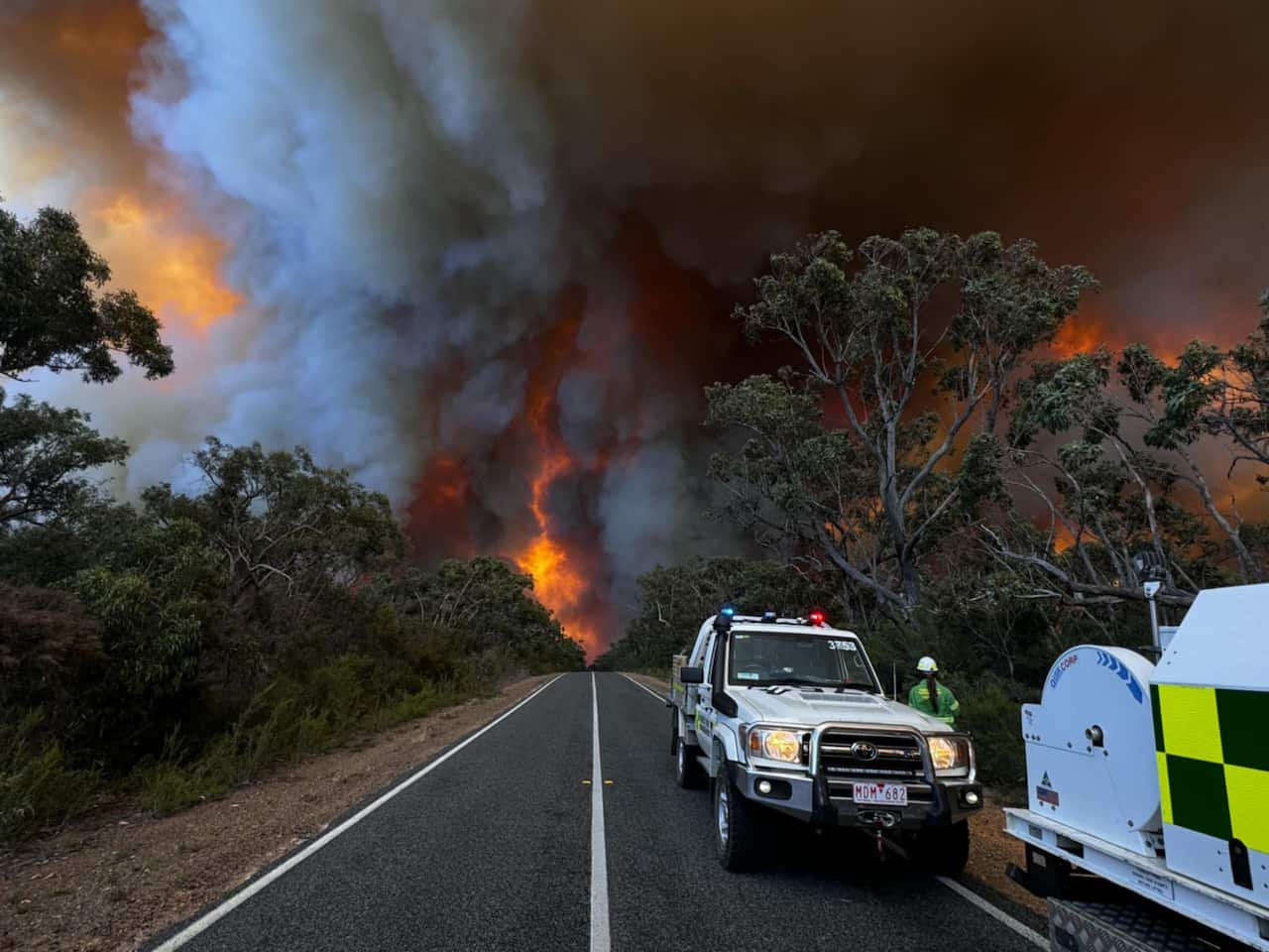 BUSHFIRES VICTORIA