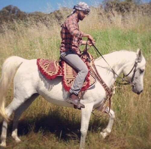 Iraqi traditional Saddle Poley.jpg