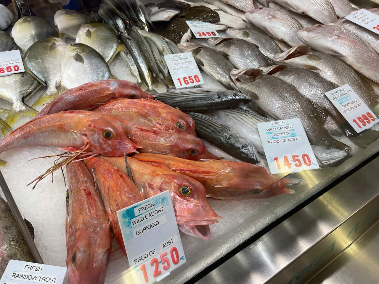 Gurnard.jpeg