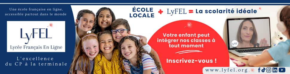 Banniere LyFEL Visuel Dec2024 1 (970 x 250 px) (1).png