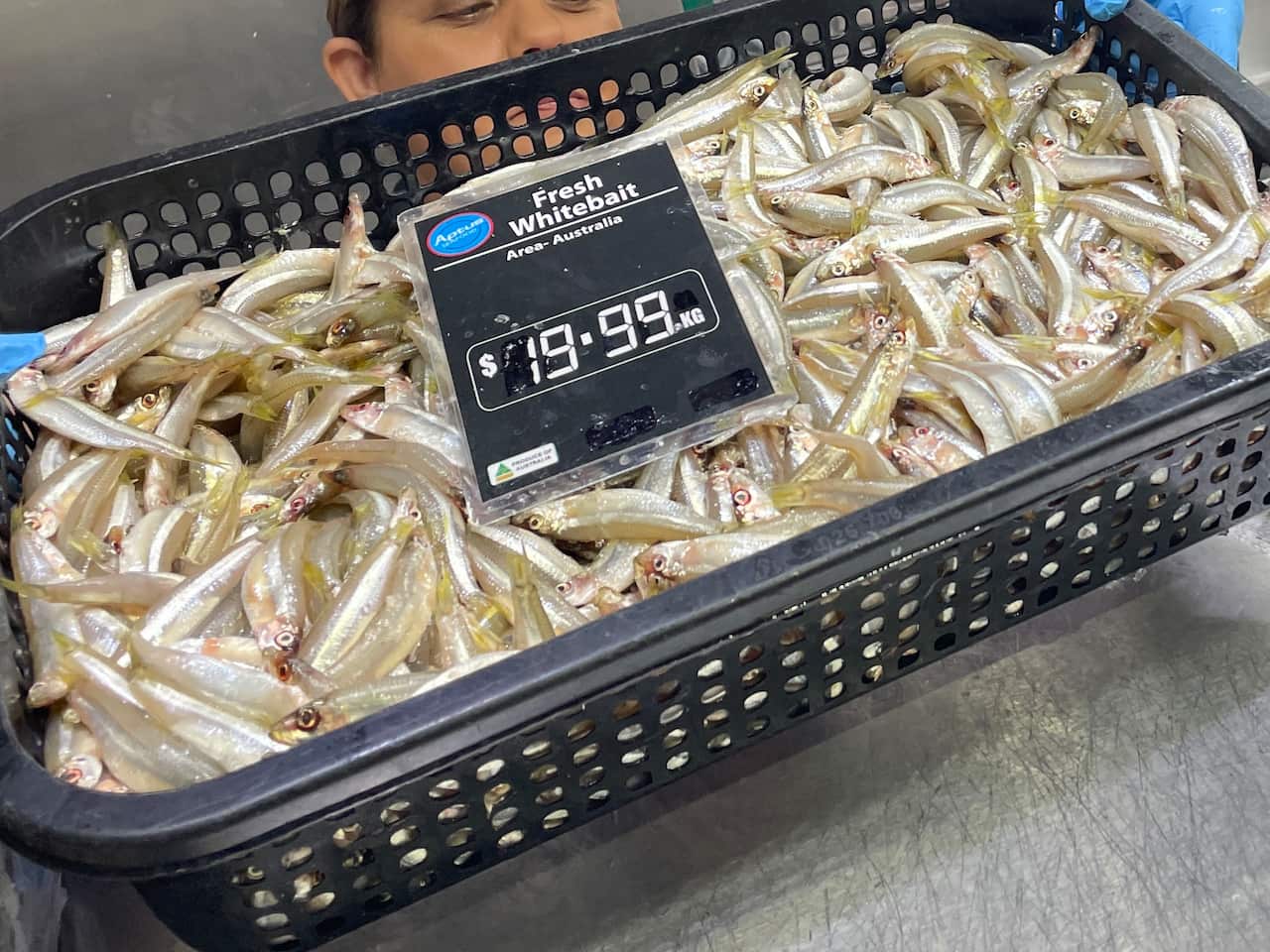 Whitebait.jpeg