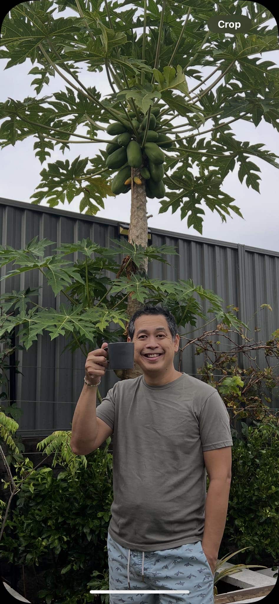 papaya.jpg