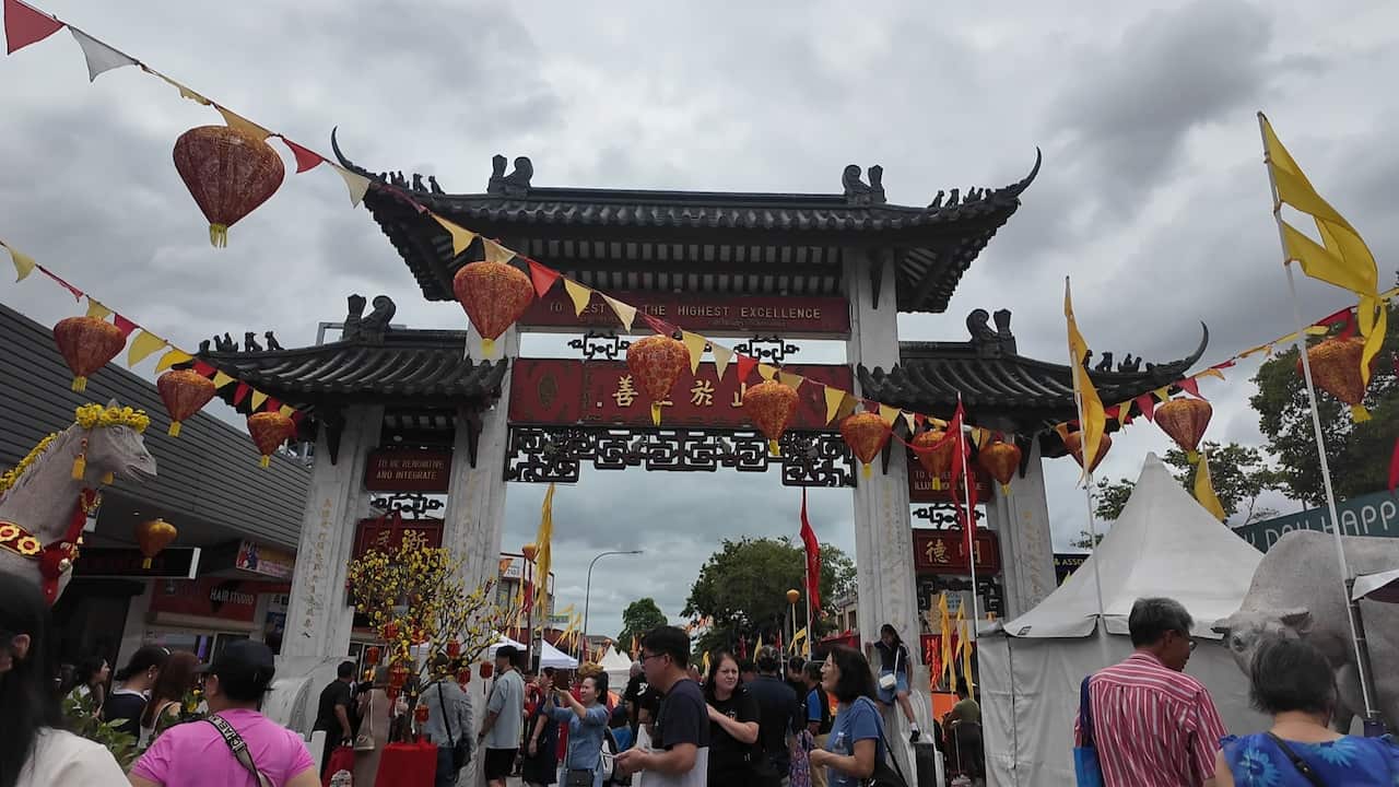 cabra hình canva.jpg