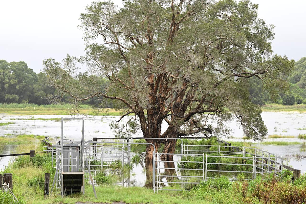 A flooded paddock with a cattle loading ramp and fence in the foreground.
