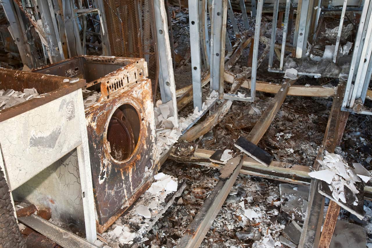 Australia Explained: Bushfire Recovery