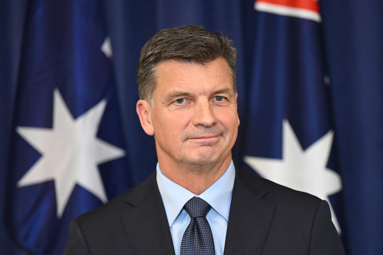 Angus Taylor standing in front of an Australian flag.