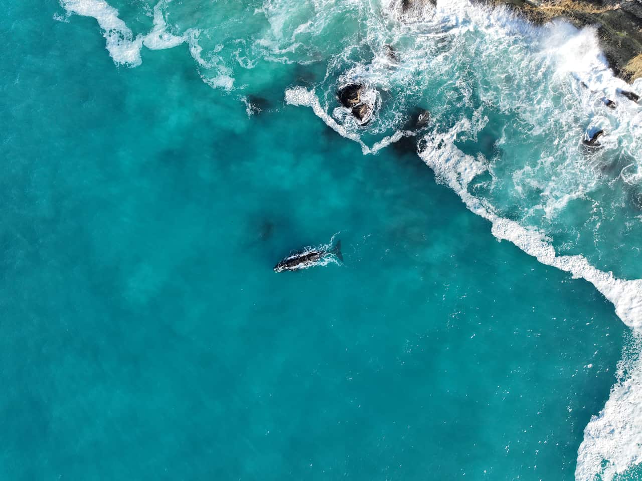 20250902_CC Pair Lawrie close to cliffs.JPG