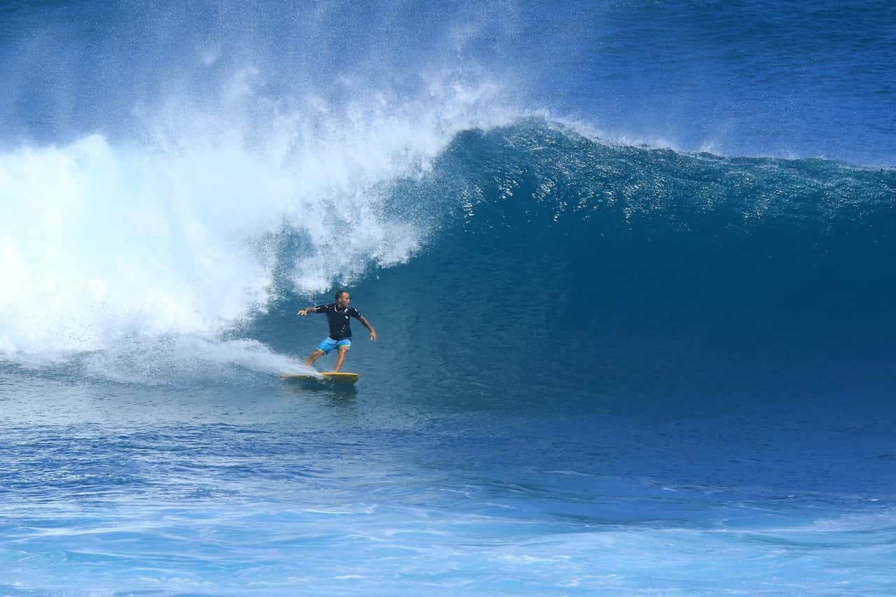 Sepe sul surf