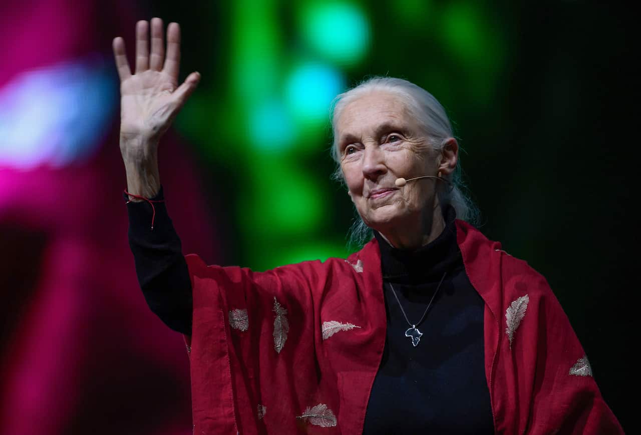 A woman wearing a black top and red shawl waving her hand.