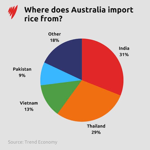 Why has India banned rice exports, and could it impact Australia? | SBS ...