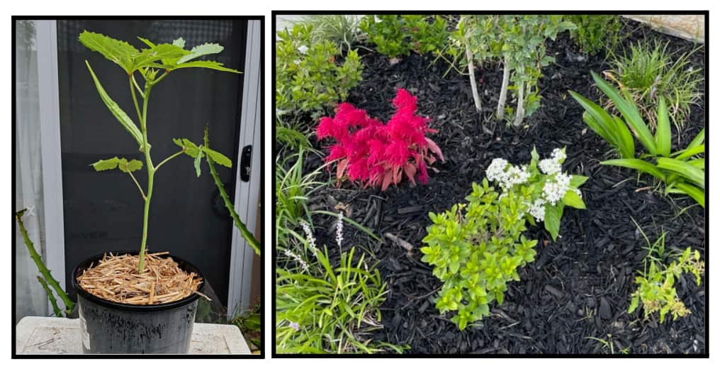 Screenshot 2026-02-13 100400.png