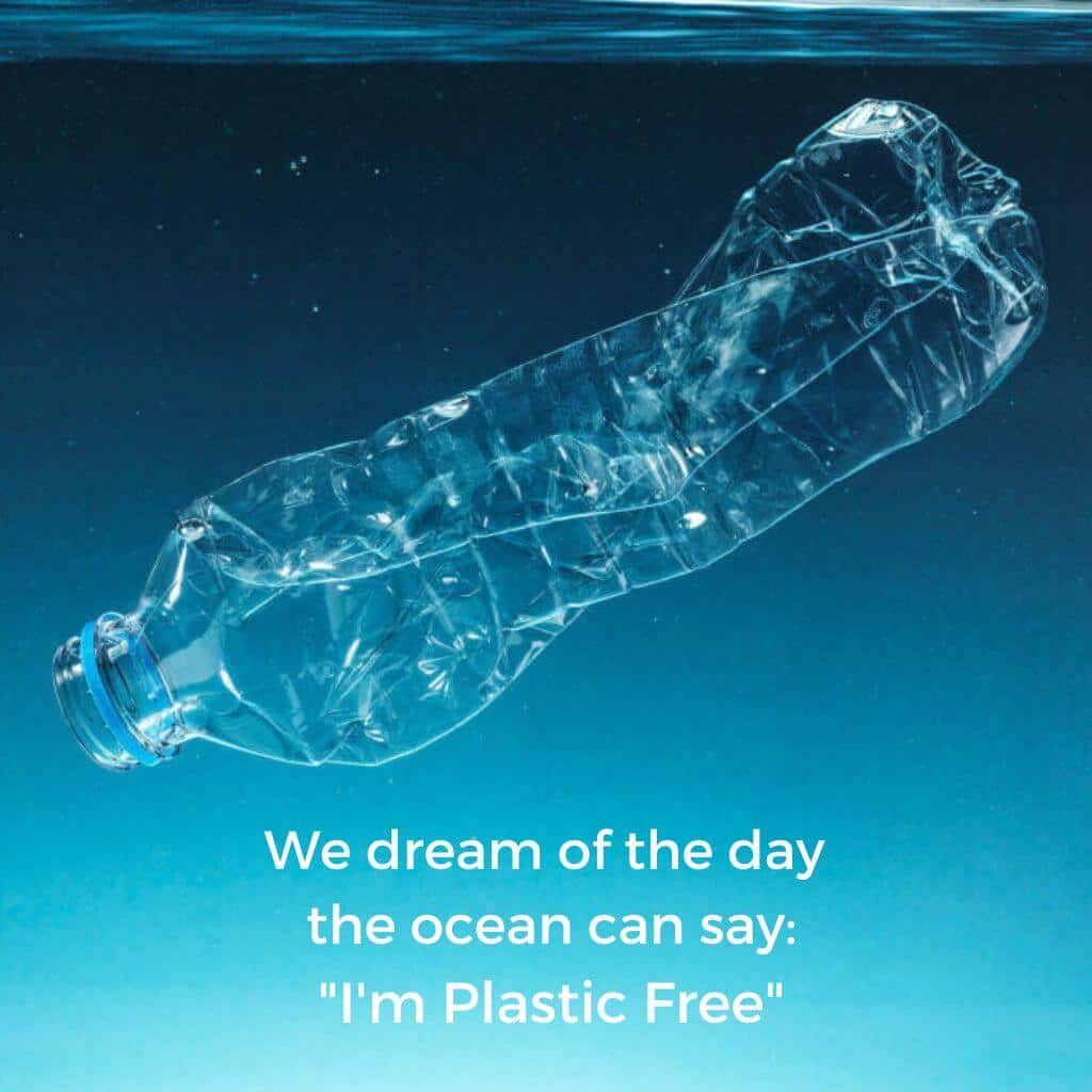 Locandina da implasticfree.com