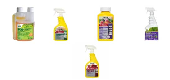 Screenshot 2026-03-06 092740.png