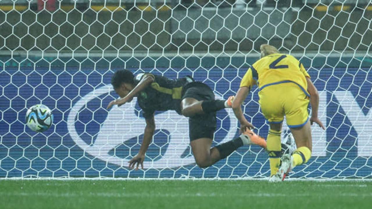 SA Goal.jpg