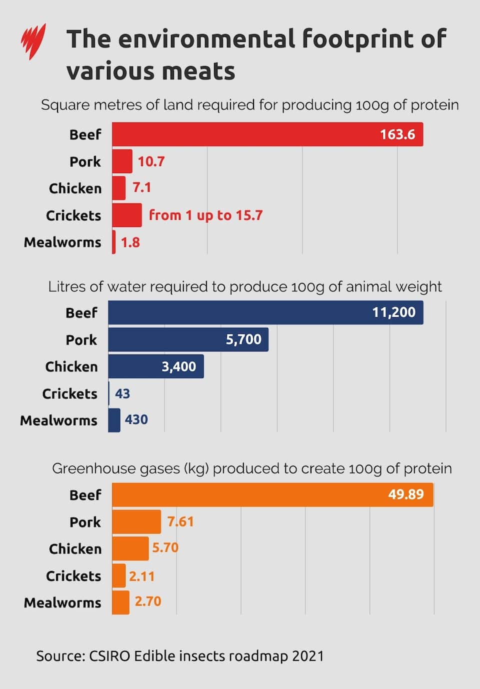 Australia's edible insects: Are they really the food of the future ...