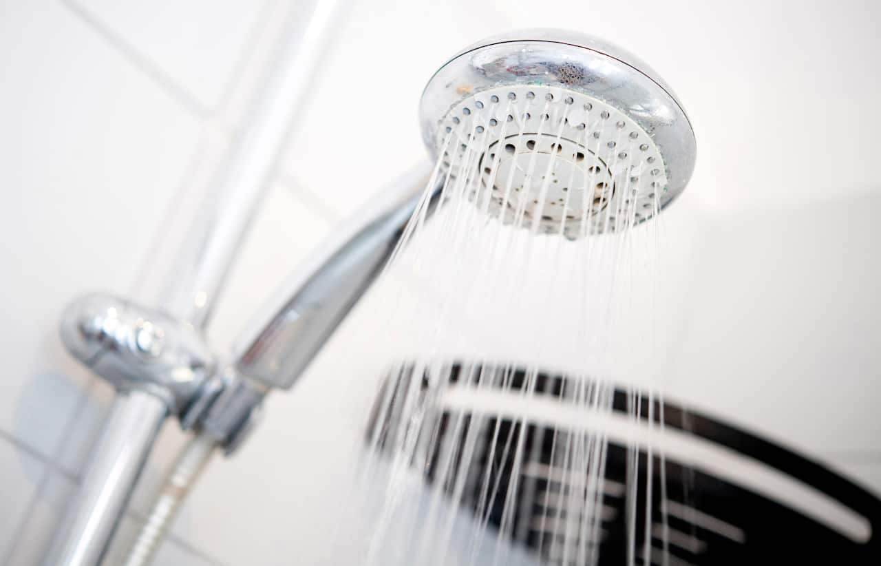 Shower head