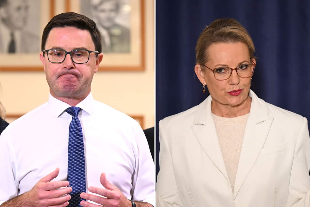 DAVID LITTLEPROUD SUSSAN LEY DIPTYCH