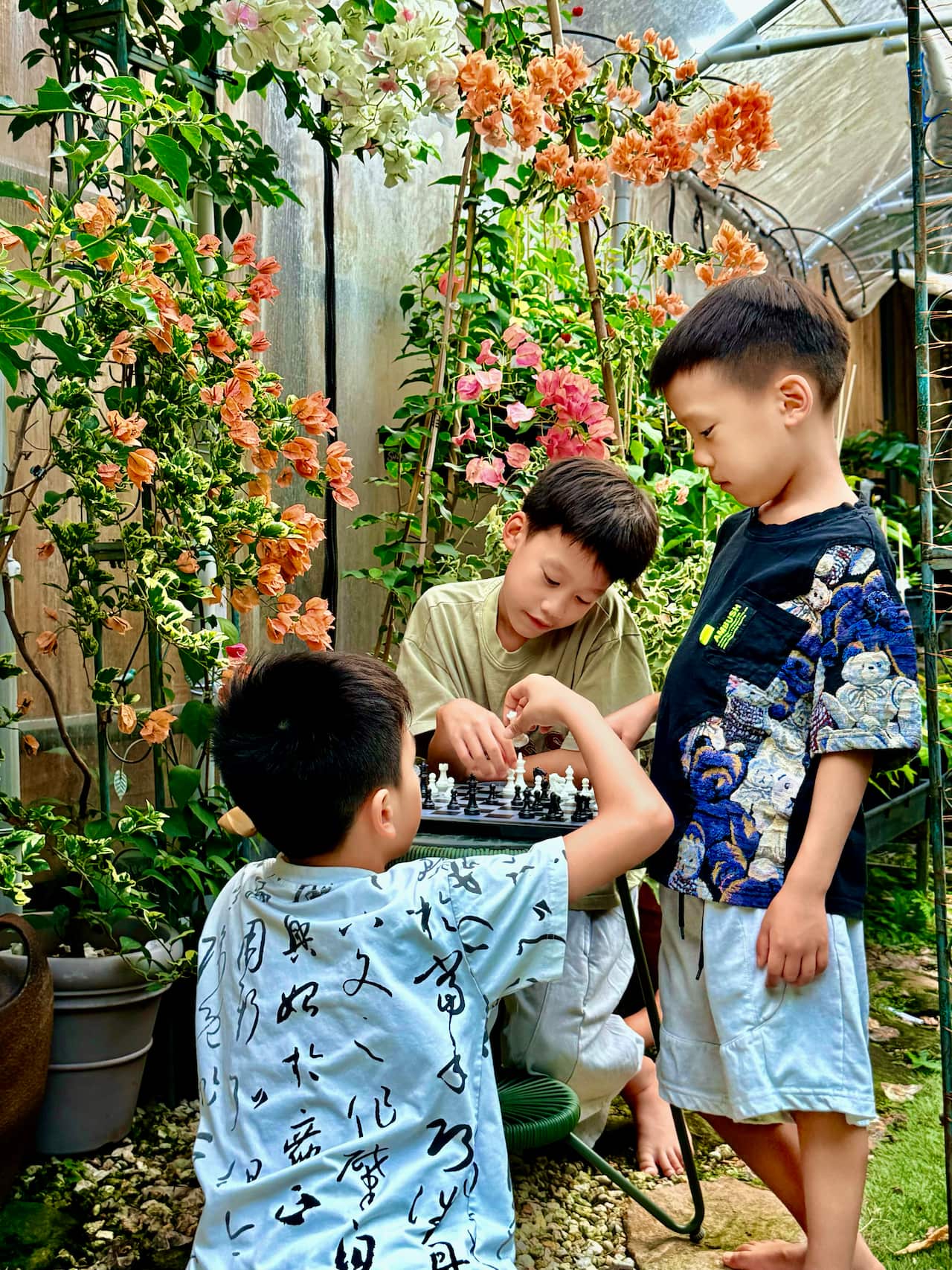 Summer’s sons are playing in their own garden