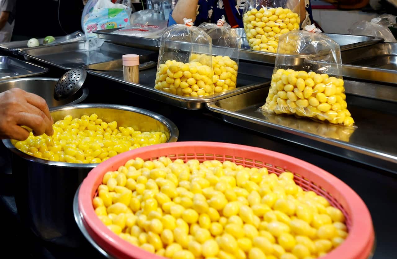 20260111181830444290-RUNGROJ YONGRIT.jpg