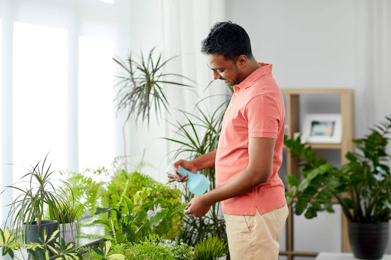 A man wearing a peach t-shirt is watering indoor plants.
