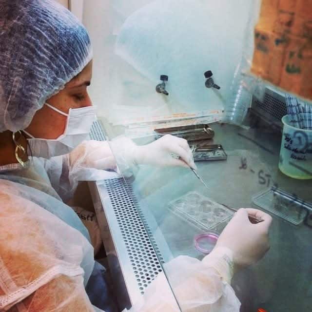 Lab .jpg