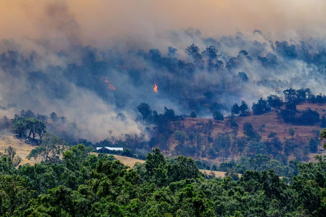 Smoke rises from burning forest on a hillside