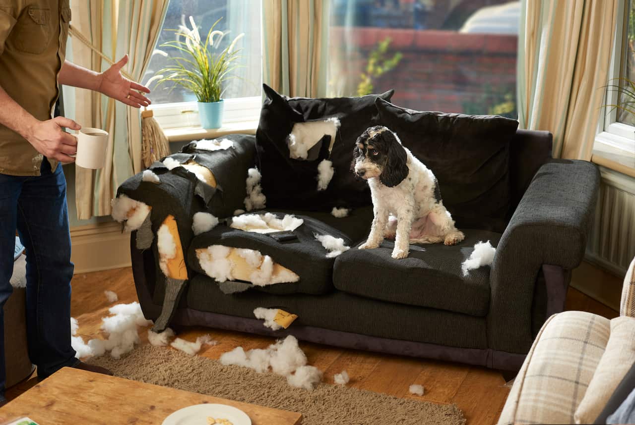 Australia Explained: Home Insurance