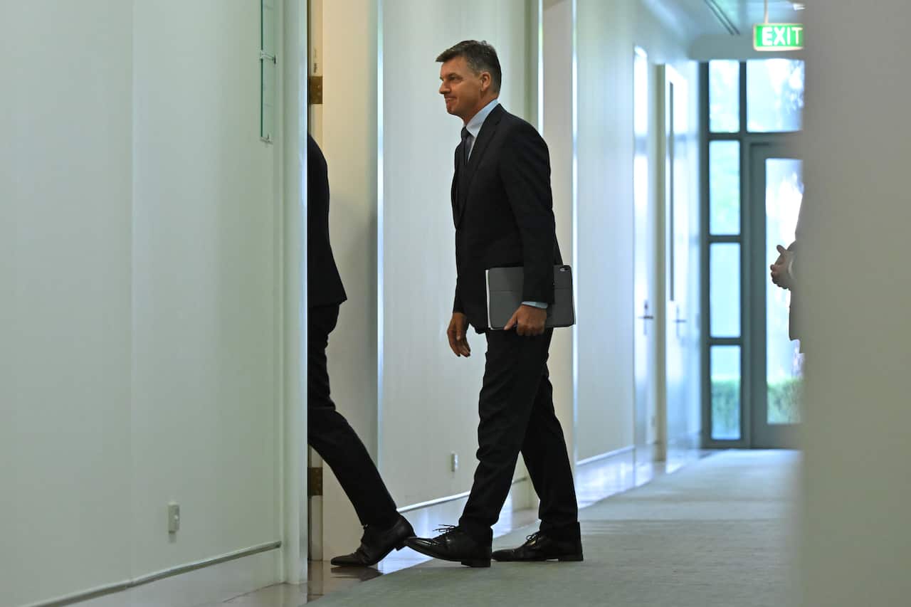 LIBERAL LEADERSHIP SPILL