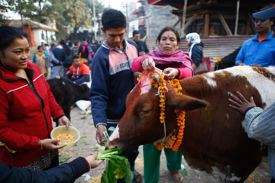 What is Diwali and how do Australian communities celebrate it? SBS Hindi