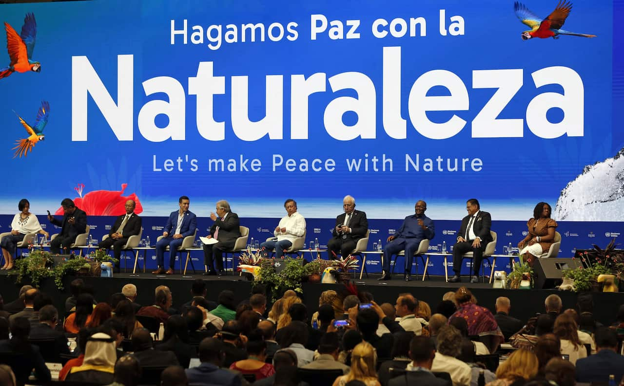 High-level segment of the UN Conference on Biological Diversity (COP16) in Colombia