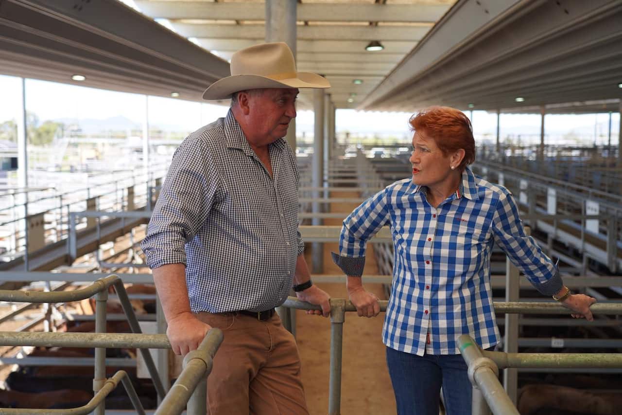 Barnaby Joyce and Pauline Hanson stand in the middle of a saleyard in checkered shirts.