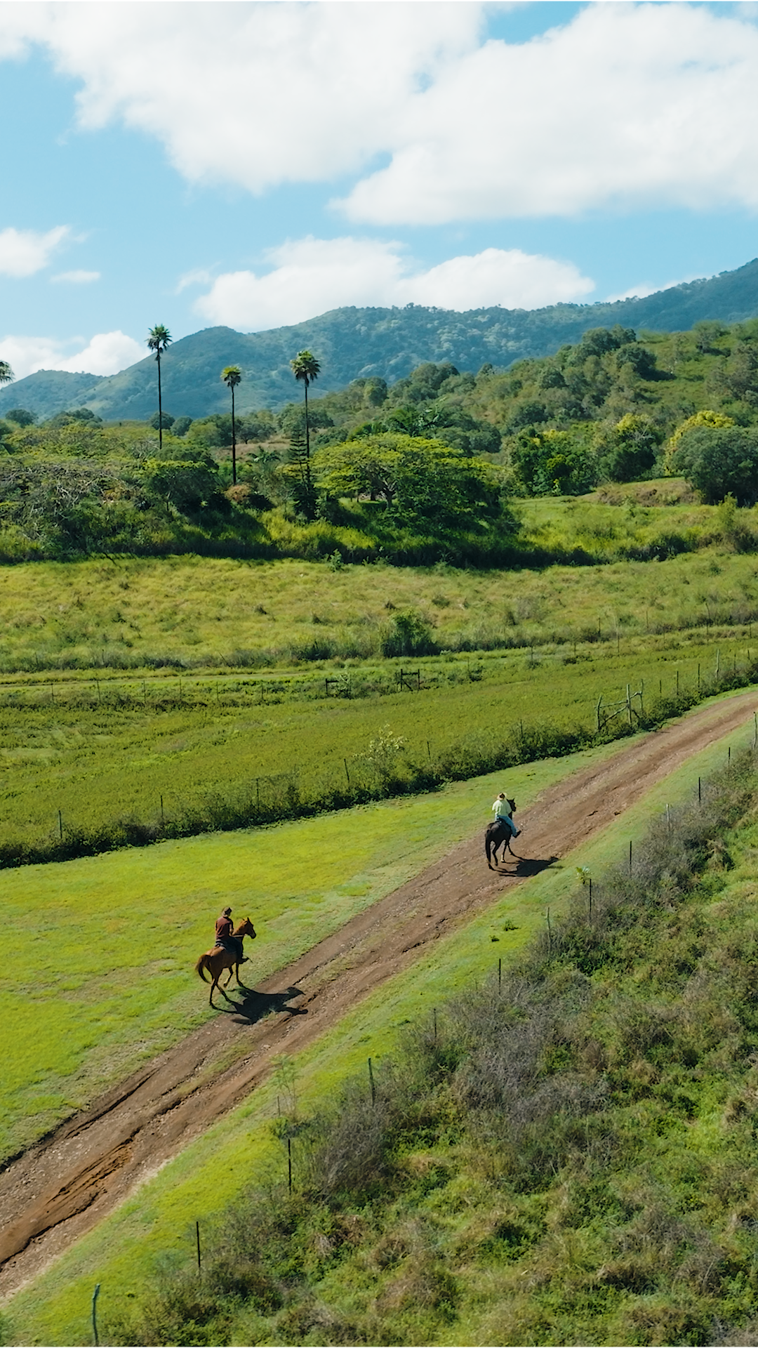 Episode 3_The Broussard Food_NCT.00_00_05_18.Still002 (1).png