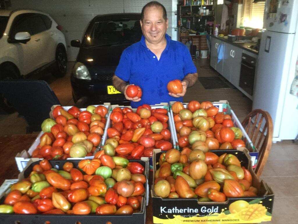 Salvatore Comitogianni e i suoi pomodori