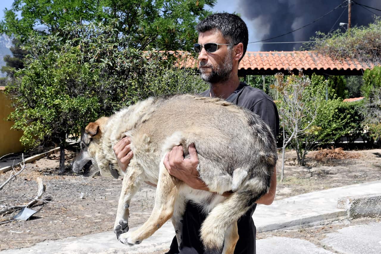 GREECE WILDFIRE