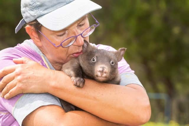 Hera Sengers met een wombat