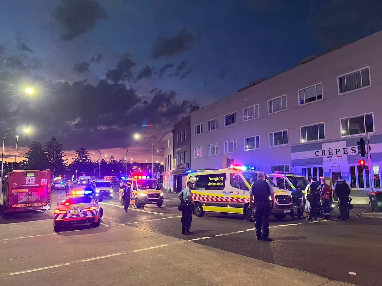 WhatsApp Image 2025-12-16 at 2.04.57 AM (1).jpeg