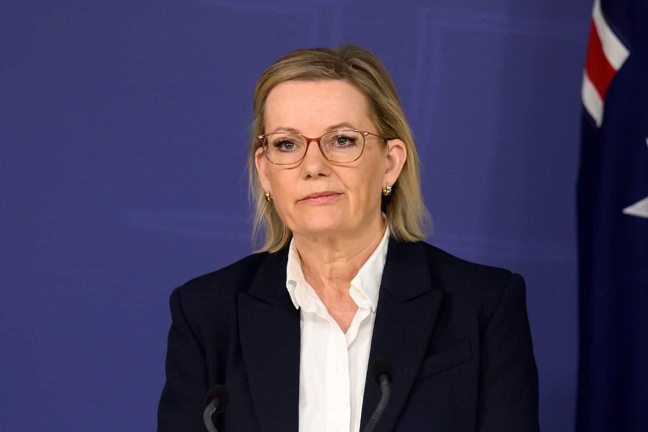 Sussan Ley standing in front of a blue wall, with an Australian flag to the side.
