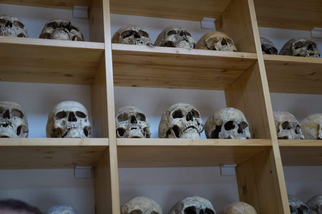Срби имају велики удео старобалканских гена Anthropology laboratory at Viminacium containing approximately 20,000 human skeletons