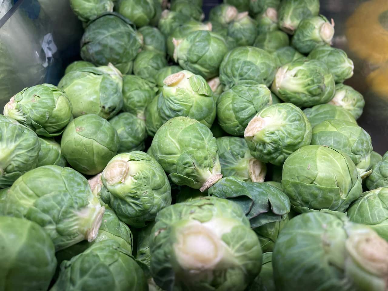 Brussels sprout.jpg