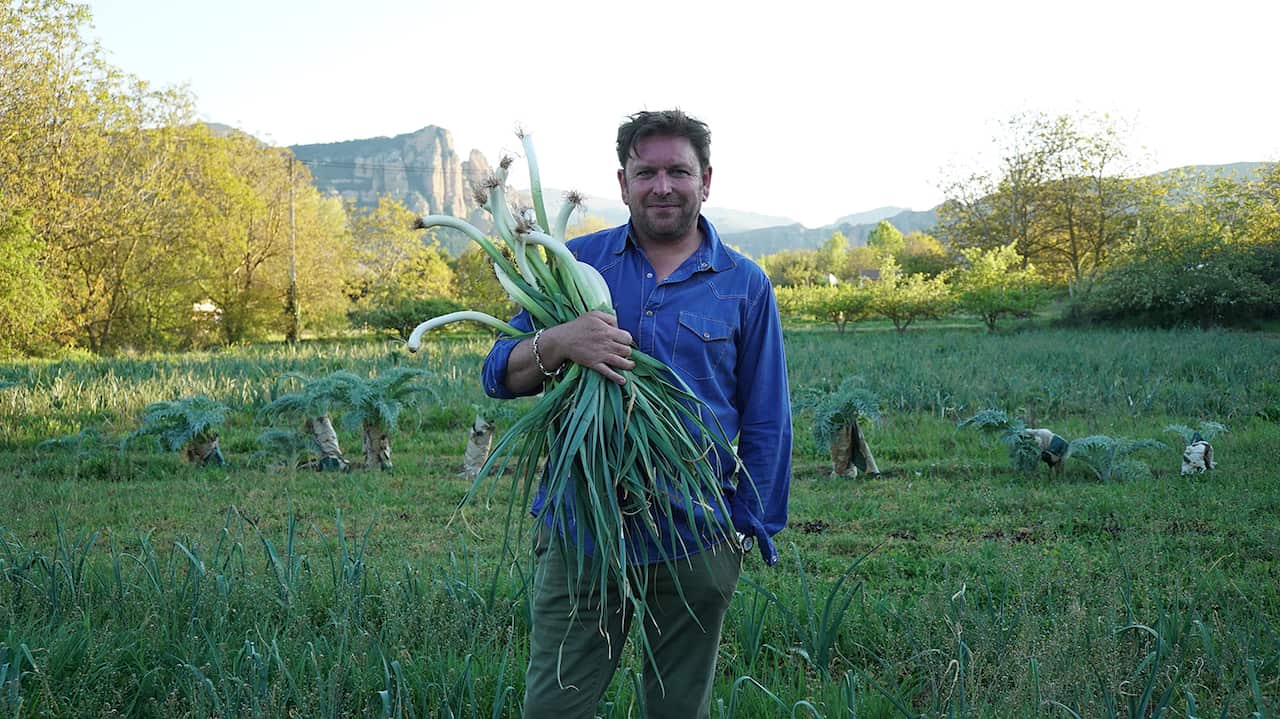 A man in a deep blue shirt stands in a field, holding an enormous bundle of leeks.