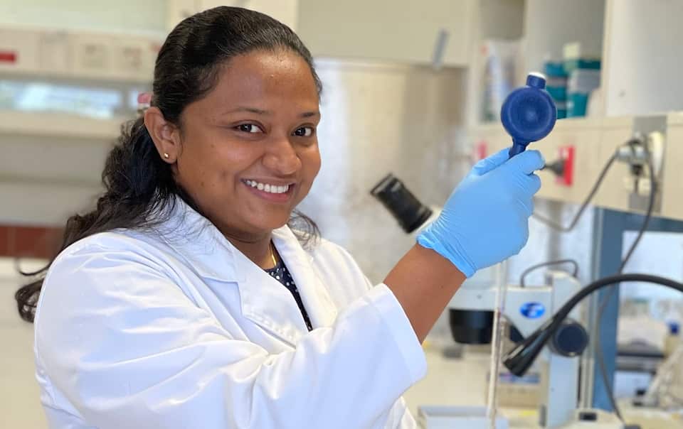 Kakadu Plum Researcher explores medicinal value of treasured Indigenous Australian fruit SBS