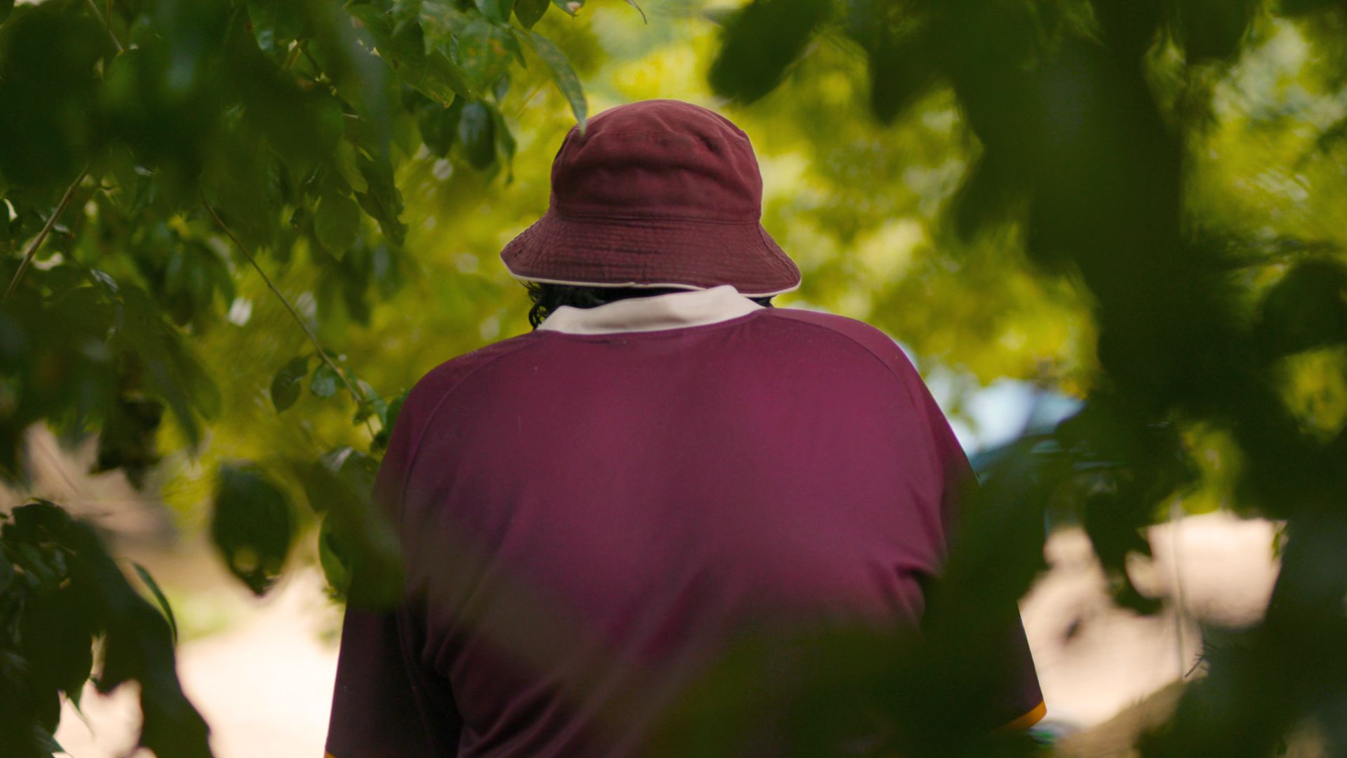 Image of a man sitting under a tree in North Queensland, with his back to camera