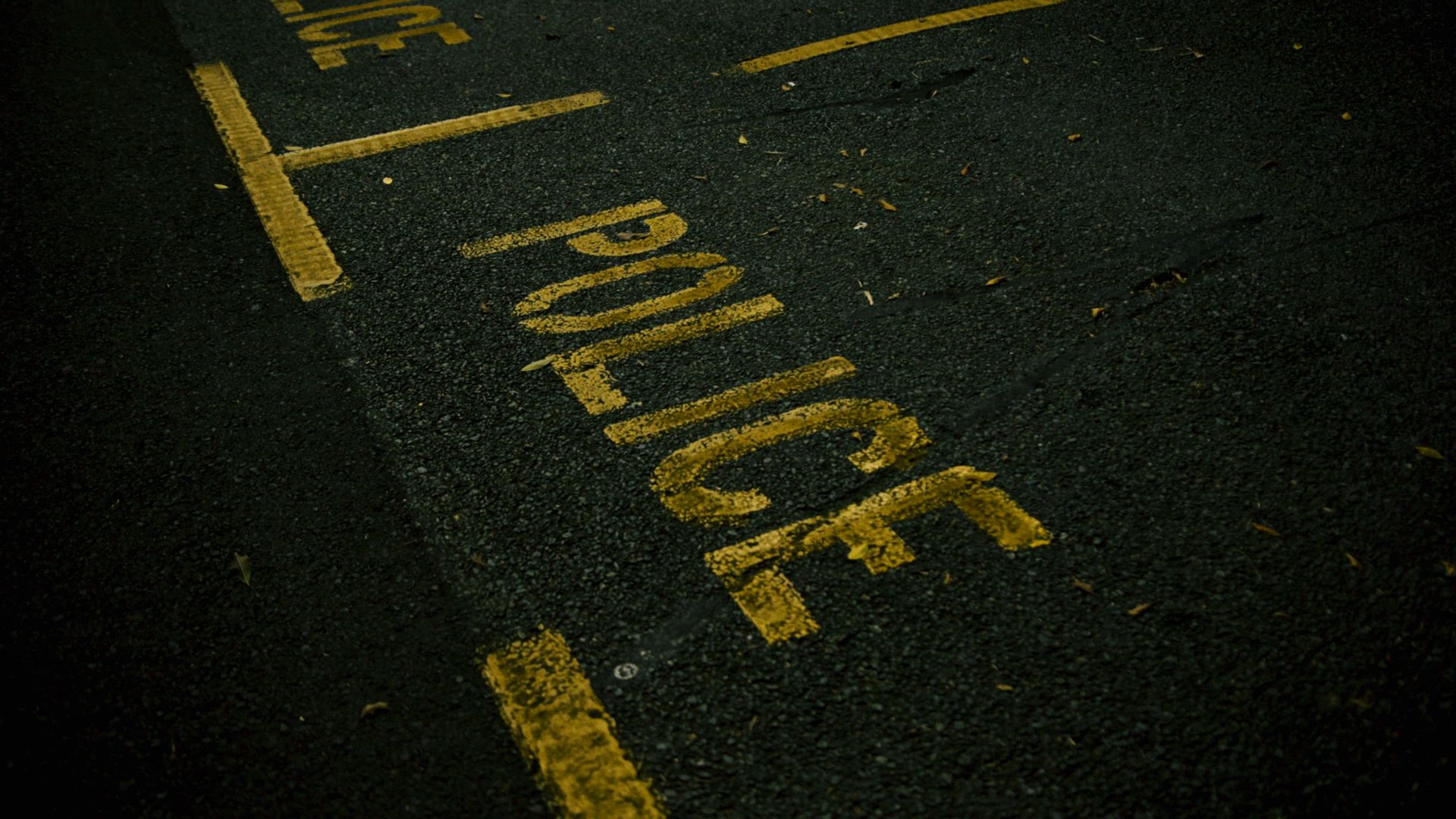 Image of a parking zone marked for police 